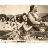 Foto Samson And Delilah Victor Mature Hedy Lamarr B Demille segunda mano  Perú 