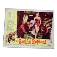 Dante42 Afiche Cine Poster The Bashful Elephant N8 Usa 1961 segunda mano  Perú 