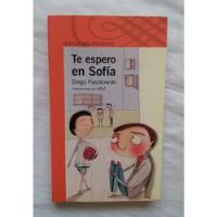 Te Espero En Sofia Diego Paszkowski Libro Original Oferta, usado segunda mano  Perú 