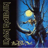 Iron Maiden Fear Of The Dark Cd Original Remaster Como Nuevo, usado segunda mano  Perú 