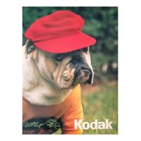 Kodak Aviso Publicitario Año 82 Bulldog Fotografía Vintage , usado segunda mano  Perú 