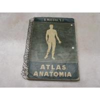 Mercurio Peruano: Libro Medicina Atlas  Anatomia L30 Mn0dd segunda mano  Perú 