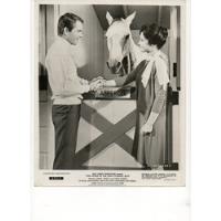 Usado, The Horse In The Gray Flannel Suit Dean Jones Diane Baker segunda mano  Perú 