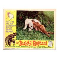 Dante42 Afiche Cine The Bashful Elephant Nº 1 - Usa 1961, usado segunda mano  Perú 