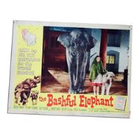 Dante42 Afiche Cine The Bashful Elephant Nº4 1961 - Usa segunda mano  Perú 