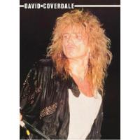 David Coverdale Poster Oficial Whitesnake Afiche 80's P78 segunda mano  Perú 