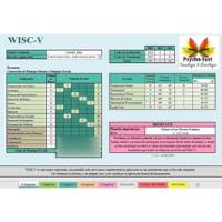 Wisc V  Software Con Informe Grafico Y Textual, usado segunda mano  Perú 