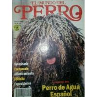 Revista Antigua Perro De Agua ,cuidados Y Crianza segunda mano  Perú 