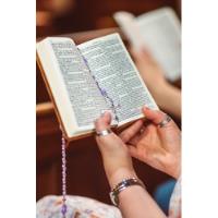 Sagrada Biblia Familiar Católica  segunda mano  Perú 